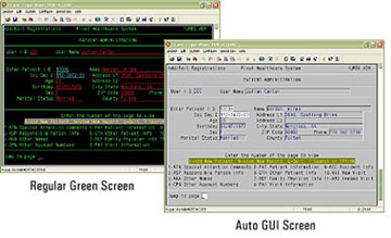 Terminal Emulation